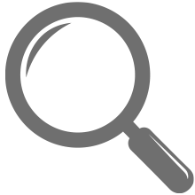 A grey magnifying glass icon.